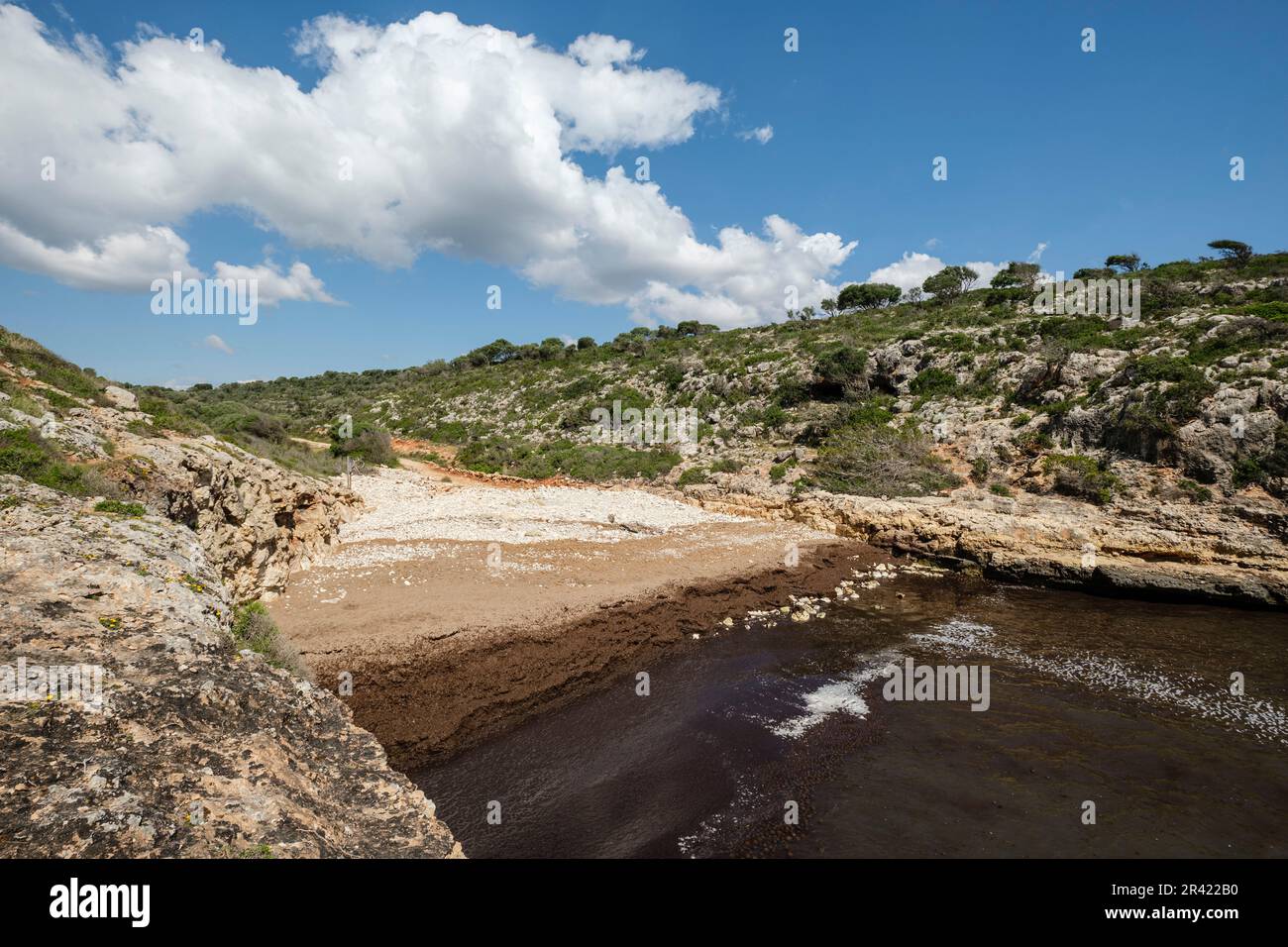 Cala Pilota, Manacor, Maiorca, Isole Baleari, Spagna. Foto Stock