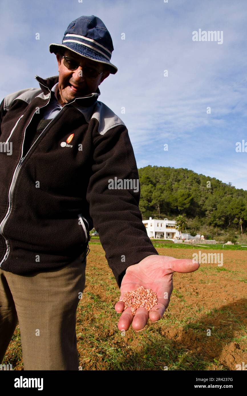 Agricultore. Port de Sant Miquel.Ibiza.Balearic Islands.Spain. Foto Stock