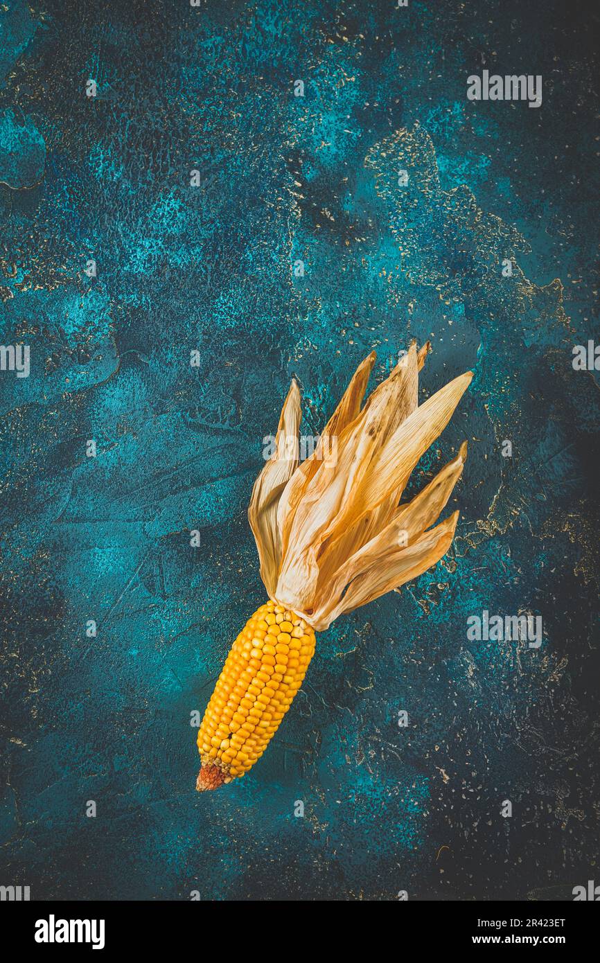 Pannocchie di mais secche mature Foto Stock