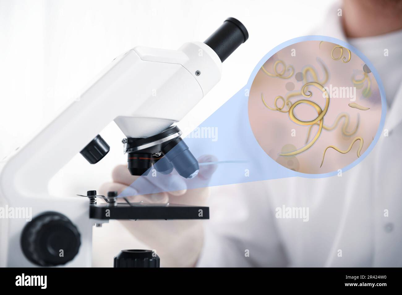 Lavoratore di laboratorio che utilizza un microscopio moderno per esaminare elminti, primo piano. Vista ingrandita sui vermi parassiti Foto Stock