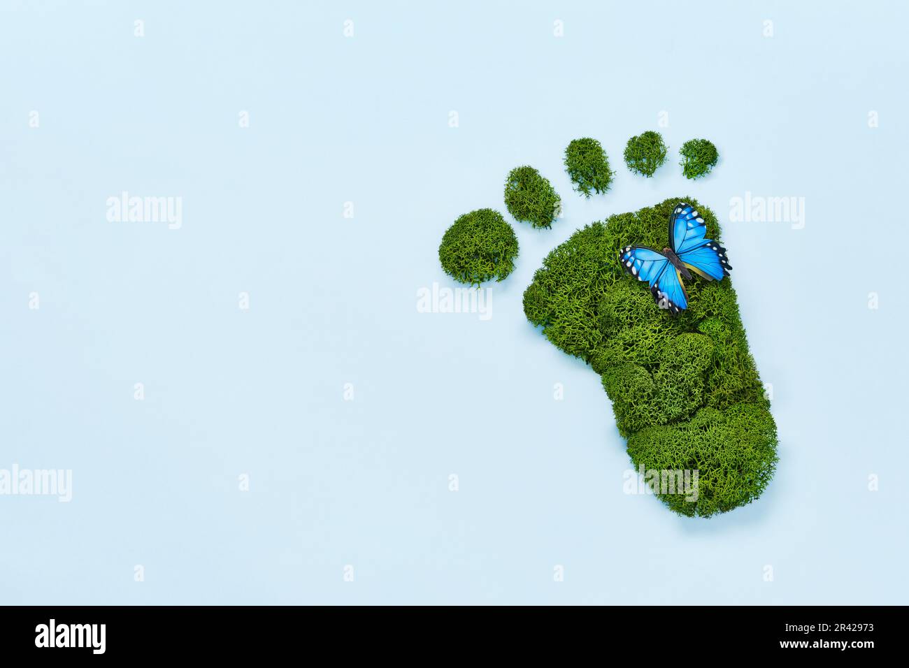 Eco creativo, cura dell'ambiente, concetto di giornata della terra. Impronta a piedi nudi fatta di muschio verde naturale e farfalla sul dorso blu Foto Stock