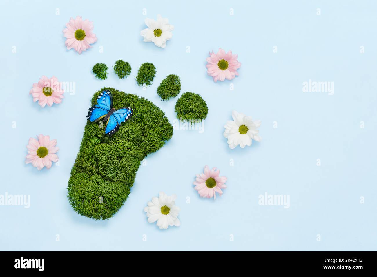 Eco creativo, cura dell'ambiente, concetto di giornata della terra. Impronta a piedi nudi fatta di muschio verde naturale, fiori e farfalla su blu Foto Stock