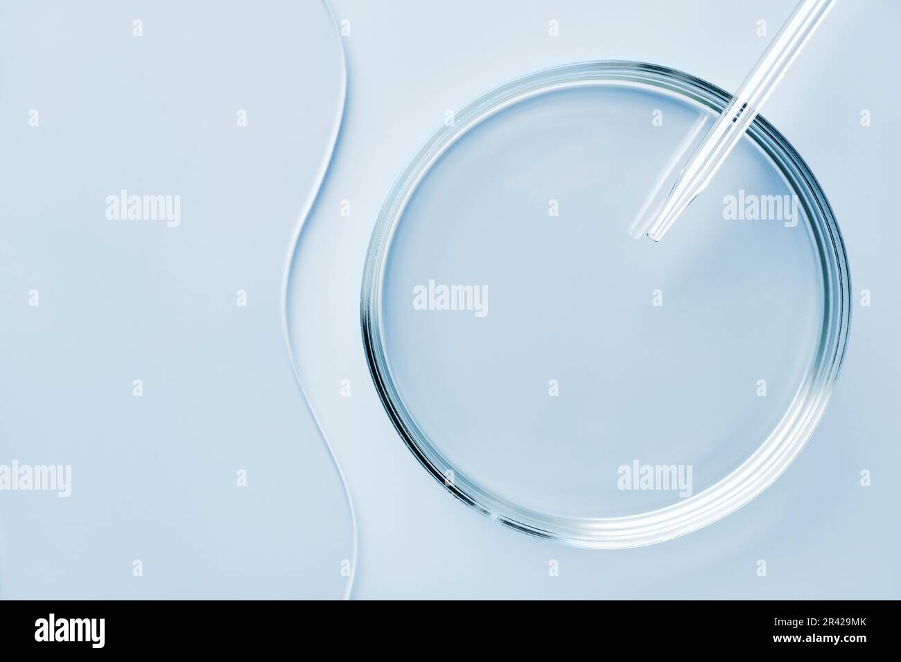 Capsula di Petri rotonda vuota o vetrino e pipetta su fondo blu. Mockup per campioni di prodotti cosmetici o scientifici Foto Stock