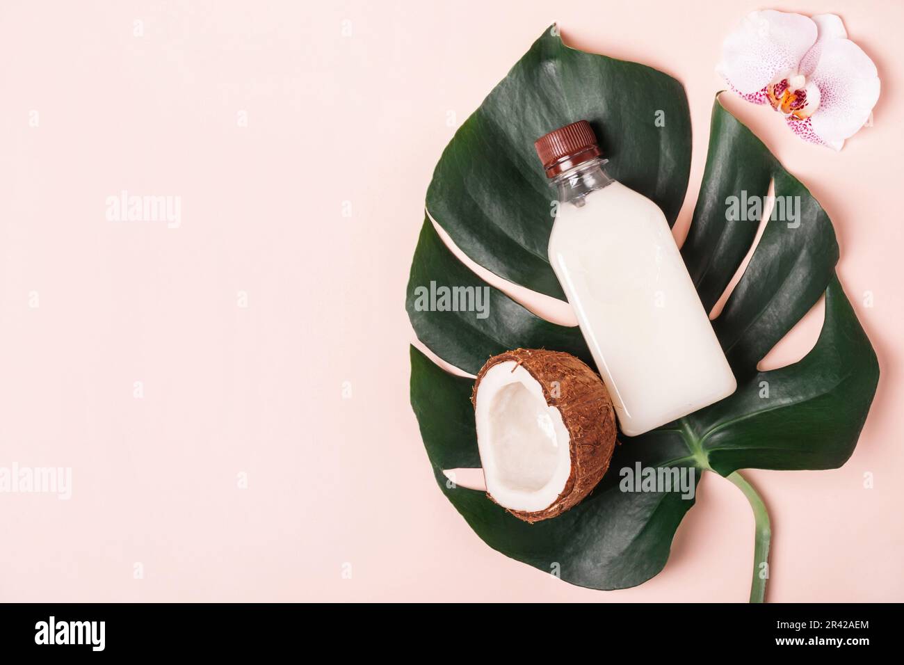 Olio di cocco o crema, foglie tropicali e fiori. Concetto di prodotto spa di bellezza naturale Foto Stock