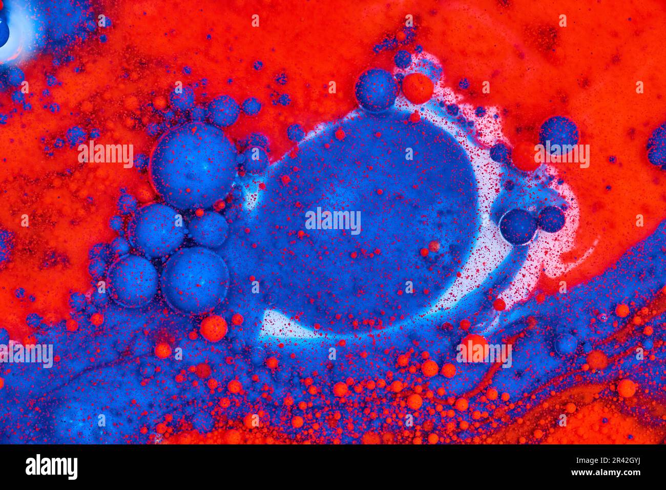 Asset sfondo blu e rosso olio di pittura acrilica con latte e vortice cosmico Foto Stock