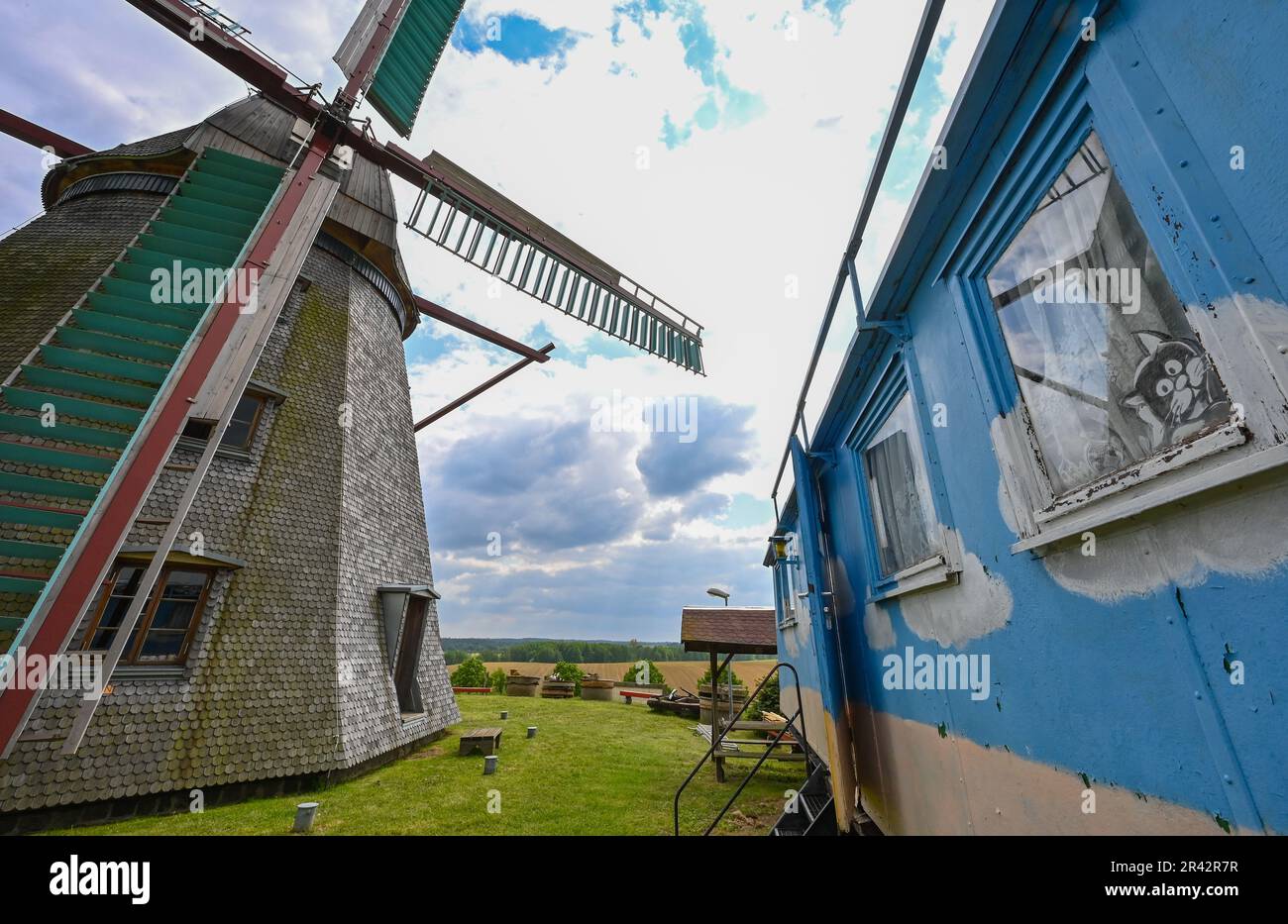 25 maggio 2023, Brandeburgo, Greiffenberg: Un disegno del gatto mulino può essere visto in una finestra di un vecchio rimorchio da costruzione accanto al Erdholländermühle ottagonale sul terreno presso il Verein zur Förderung von Landwirtschaft, Handwerk und Kultur e.V. (Associazione per la promozione dell'agricoltura, dell'artigianato e della cultura). Il Lunedi di Pentecoste (29 maggio 2023), 713 mulini storici in tutto il paese aprirà le loro porte, girare le loro pale o ruote ad acqua, aumentare i motori, eseguire trasmissioni e invitare gli ospiti per tour e piccoli festeggiamenti. L'occasione è la Giornata tedesca del Mulino 30th, che la Società tedesca per il Mulino Rese Foto Stock