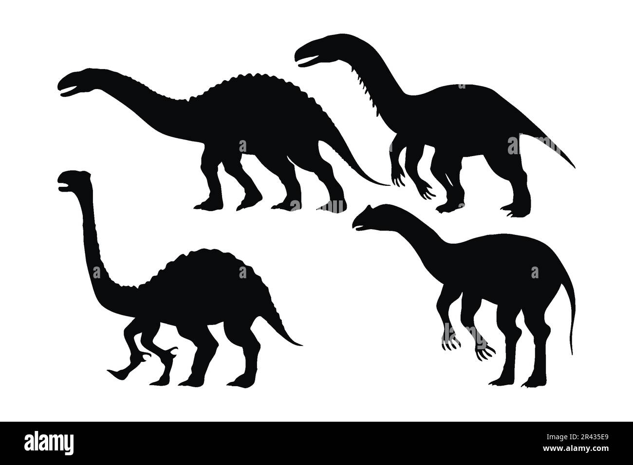 Collezione vettore di silhouette di dinosauri su sfondo bianco. Bella dinosauri grandi per bambini silhouette set design. Dinosauro carnivoro in piedi, blac Illustrazione Vettoriale