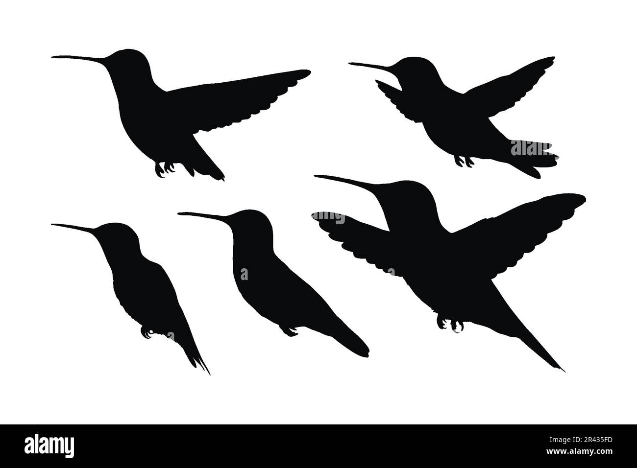 Hummingbird volare in diverse posizioni, silhouette set vettore. Piccola collezione di silhouette hummingbird su sfondo bianco. Bellissimi uccelli e f Illustrazione Vettoriale