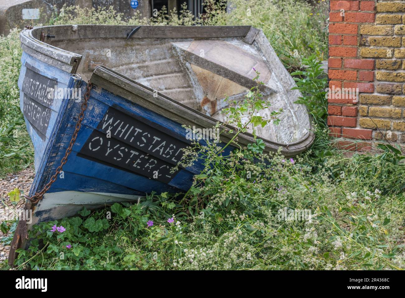 Primo piano di una vecchia canoa blu in perla con Whitstable Oyster Co. Scritta a lato. Whitstable Beach, North Kent Coast, Inghilterra, Regno Unito. Foto Stock