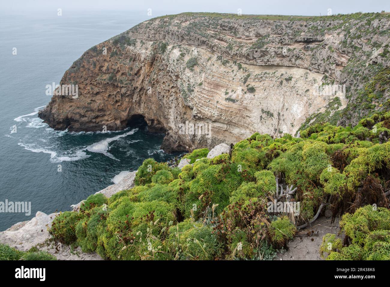 Le frastagliate scogliere costiere dell'isola di Santa Cruz parte del Parco Nazionale delle Isole del canale nella California Meridionale. Foto Stock