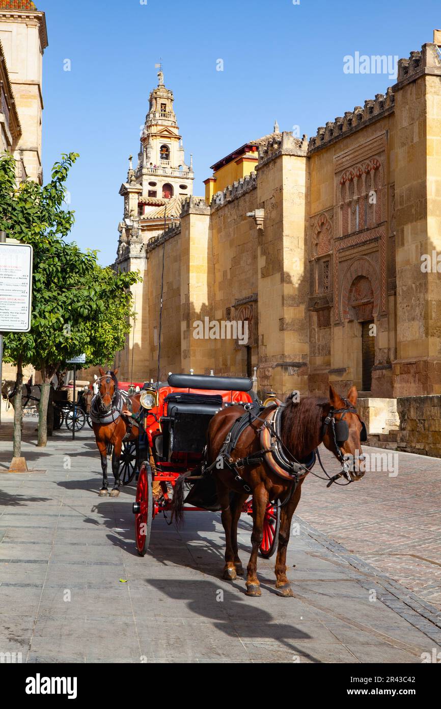Cordoba, Spagna - Febbraio 11,2022: Carrozza rossa parcheggiata accanto alla moschea di Cordoba, Andalusia, Spagna. Giro a cavallo e in slitta su Cordova Street. Foto Stock