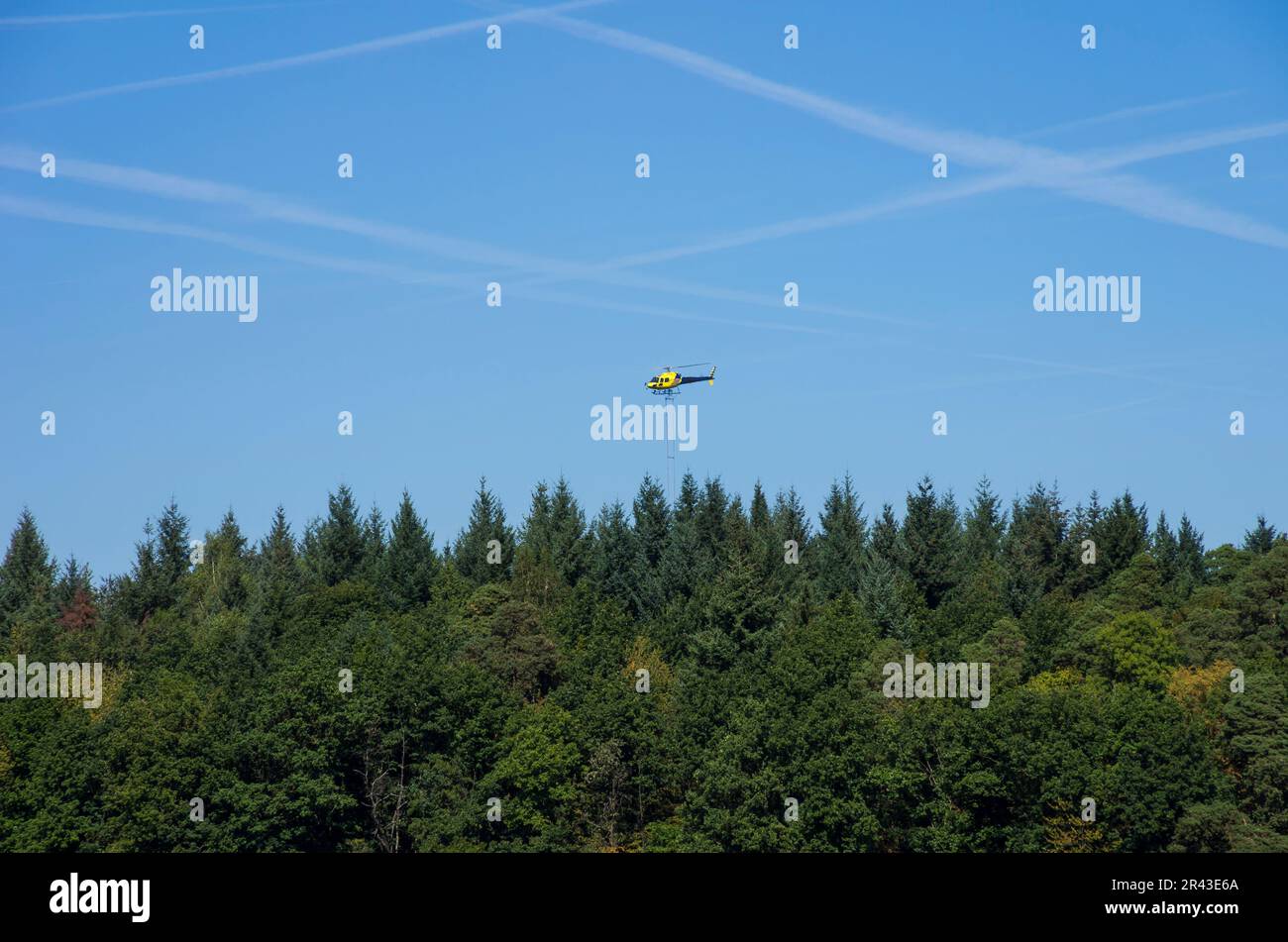 Volo a spruzzo, azione di protezione e gestione forestale, un elicottero spruzza sostanze chimiche su un'area forestale. Foto Stock