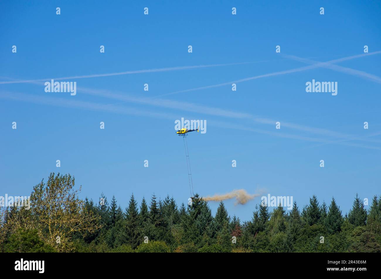 Volo a spruzzo, azione di protezione e gestione forestale, un elicottero spruzza sostanze chimiche su un'area forestale. Foto Stock