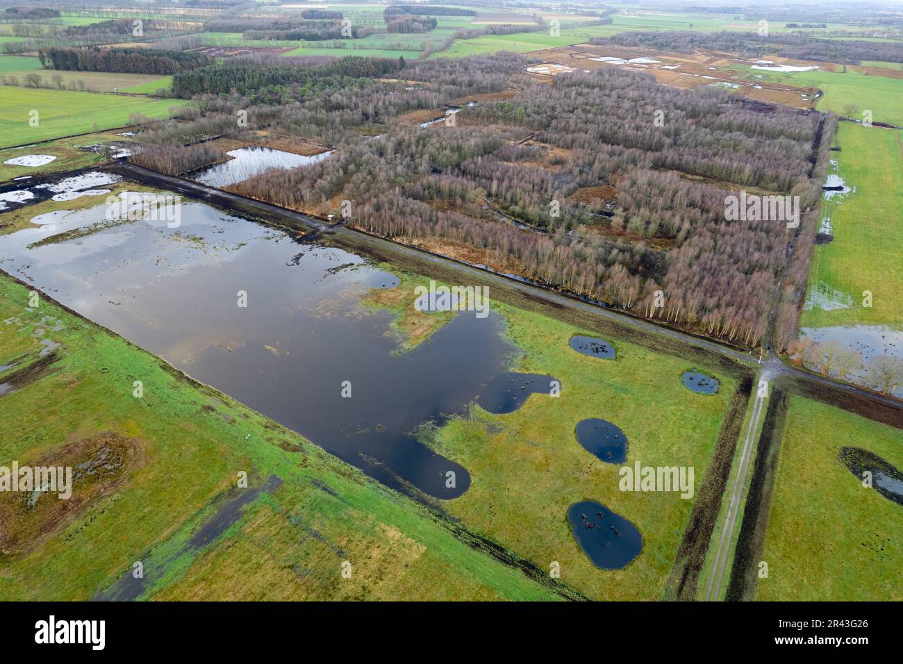 Vreeser Wiesen Bockholter dose immagine drone, zona torbiera riumidificata, Bockholter dose riserva naturale, Emsland, Germania Foto Stock