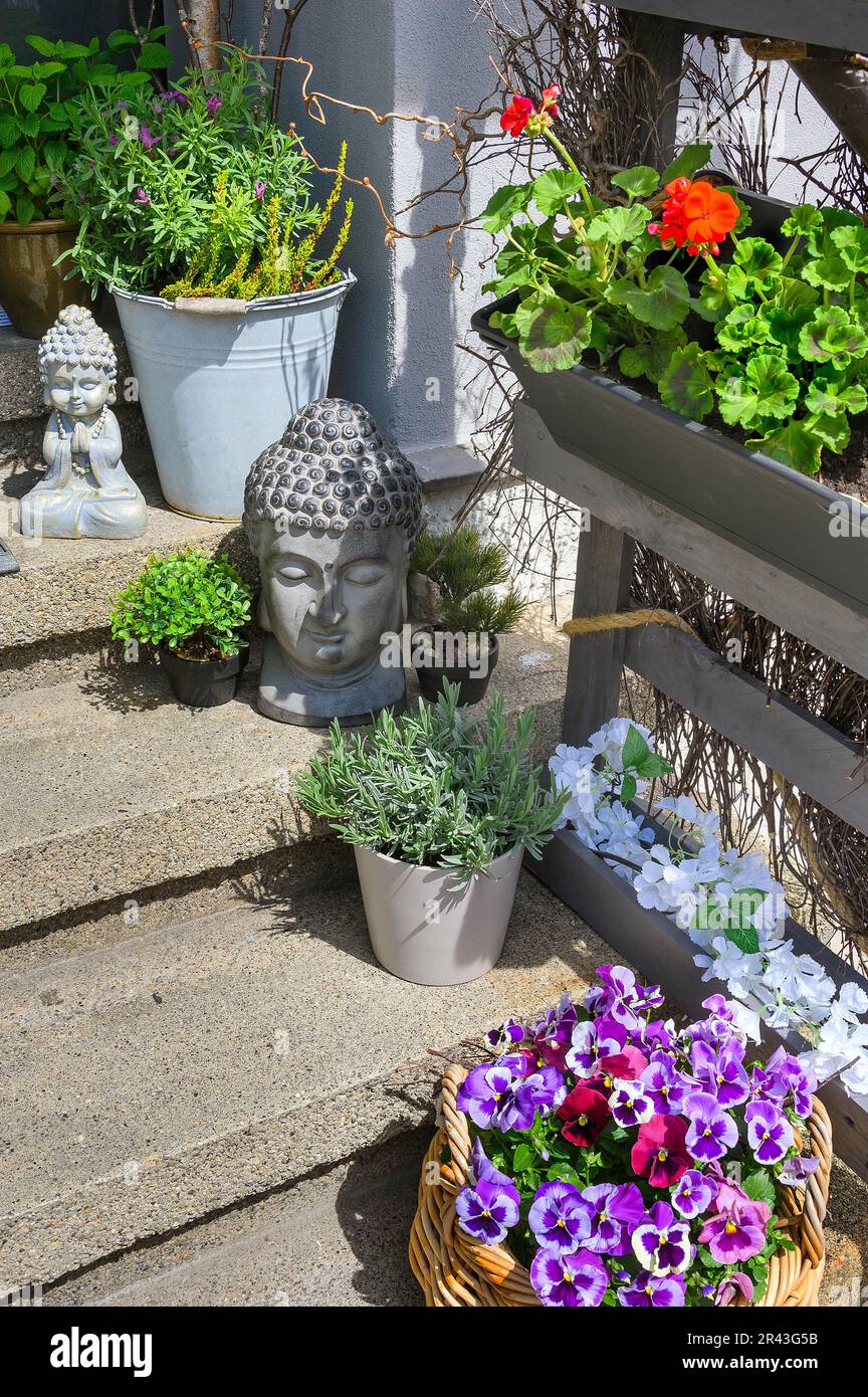 Fiori primaverili e figure di Buddha su gradini di pietra, Allgaeu, Baviera, Germania Foto Stock