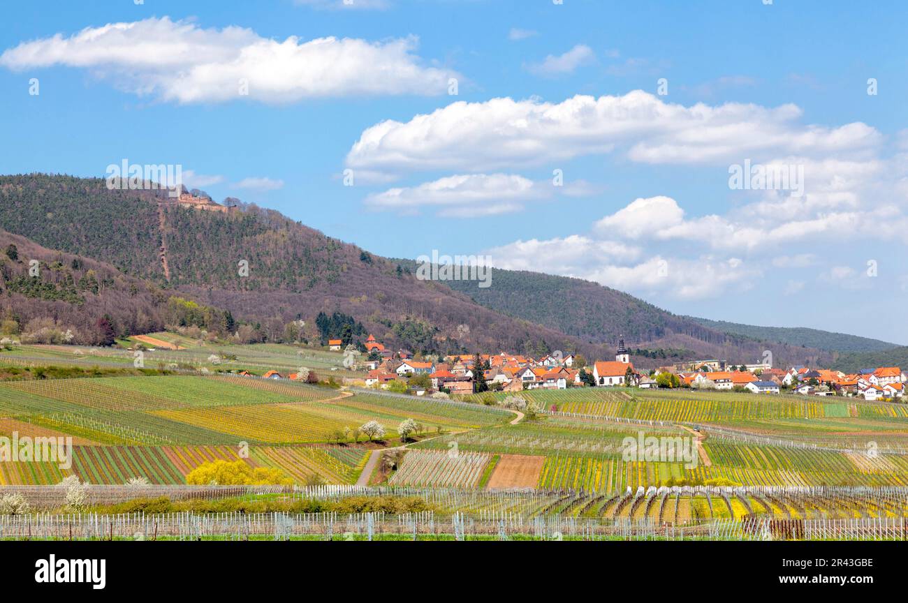 Sulla strada del vino tedesco Foto Stock