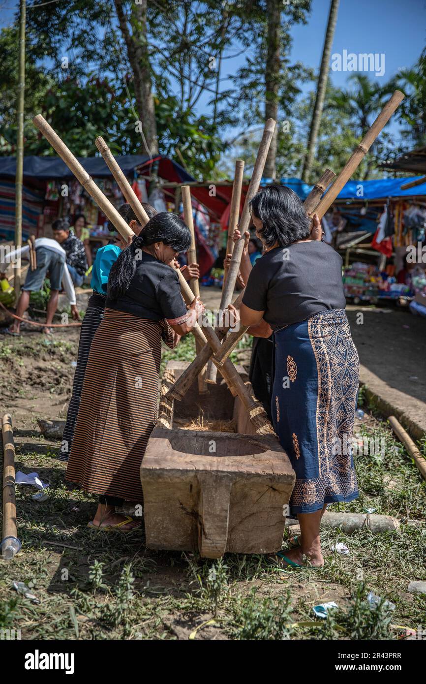 Cerimonia funeraria di Toraja, Tana Toraja, Sulawesi, Indonesia Foto Stock