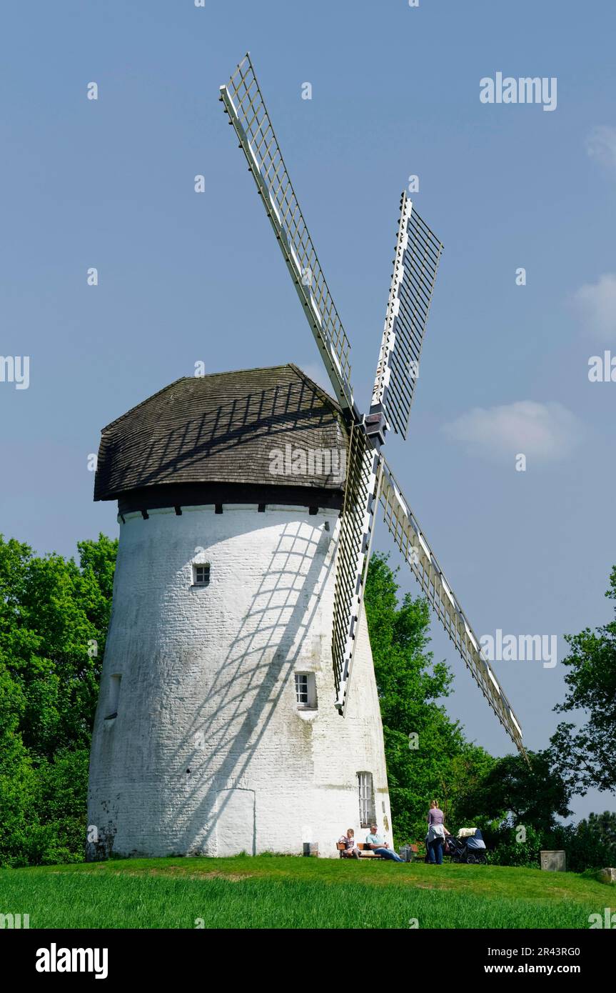 Mulino di Traar, Egelsberg, Krefeld, NRW, Renania settentrionale-Vestfalia, Germania Foto Stock