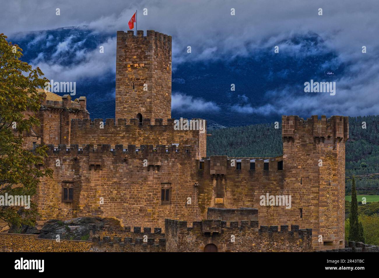 Castello di Javier, Javier, Via di San James, Navarra, Spagna Foto Stock
