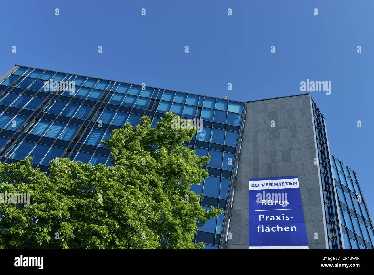 Immobiliare, spazio ufficio, spazio pratica, affitto, poster, Strada principale, Schoeneberg, Berlino, Germania Foto Stock