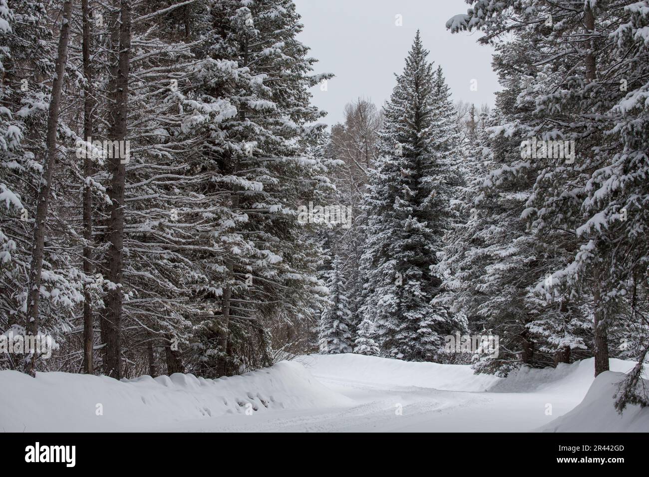 Guida invernale nel Colorado sud-occidentale Foto Stock