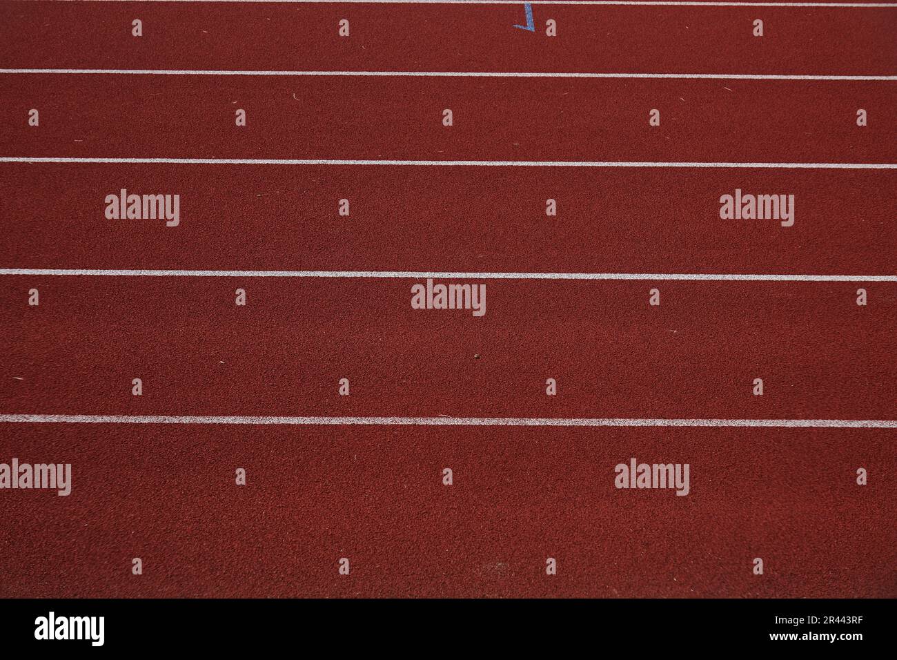 Corsie di una pista atletica Foto Stock