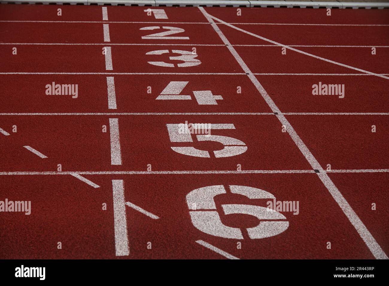 Linea di partenza e corsie di una pista atletica Foto Stock