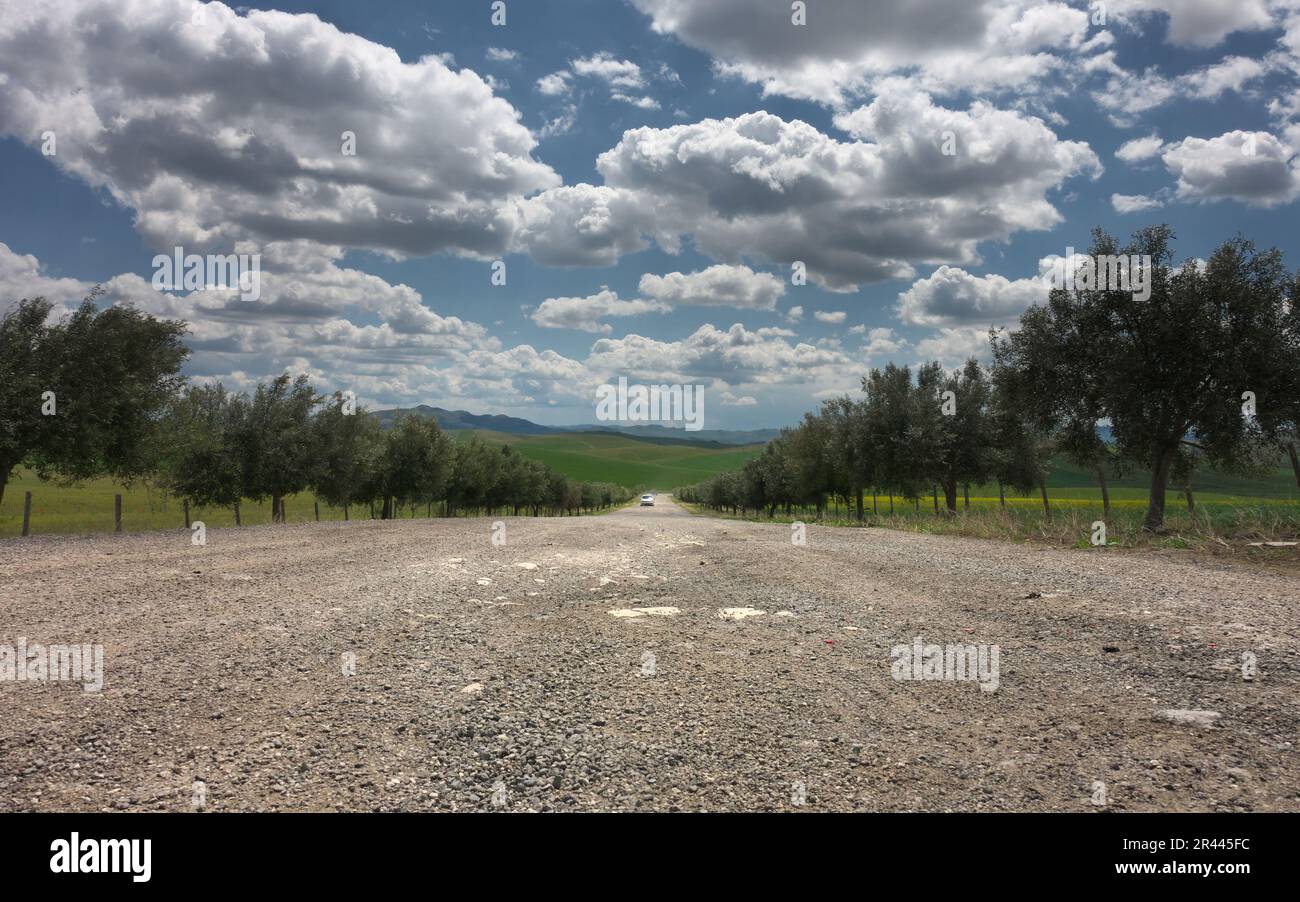 Basso angolo vista strada sterrata tra ulivi e sotto un paesaggio nuvoloso nella Sicilia rurale, Italia Foto Stock