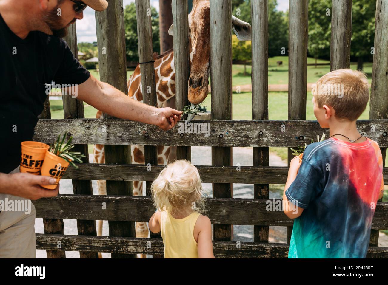 La famiglia nutre una giraffa dietro il recinto dello zoo Foto Stock