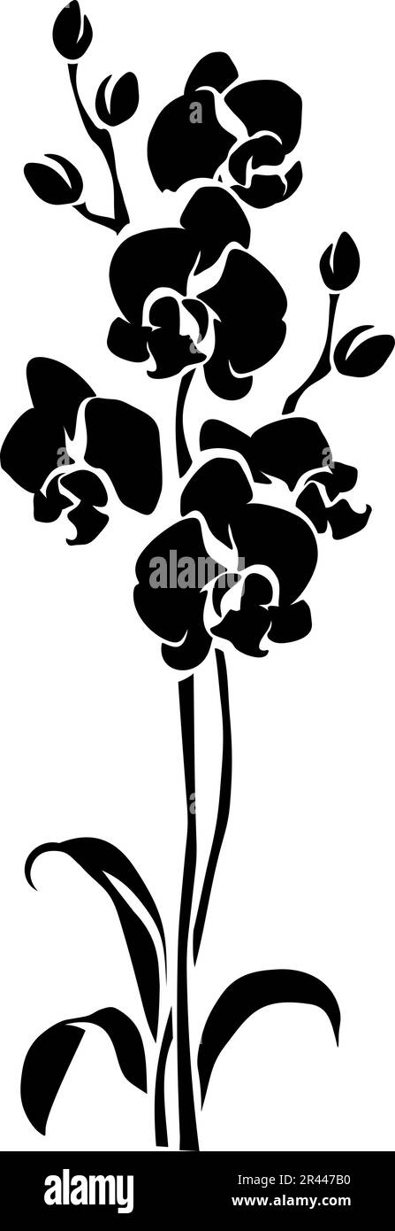 Fiori di orchidee. Silhouette nera del ramo delle orchidee isolato su sfondo bianco. Illustrazione vettoriale Illustrazione Vettoriale