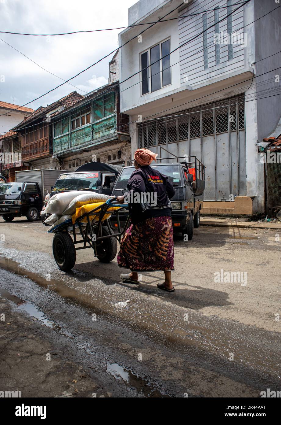 una lavoratrice donna trasporta merci con un carrello in un mercato tradizionale Foto Stock