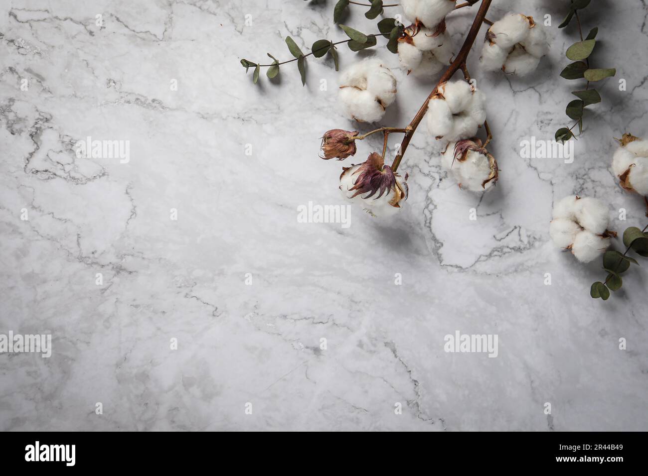 Ramo decorativo con fiori di cotone e foglie verdi