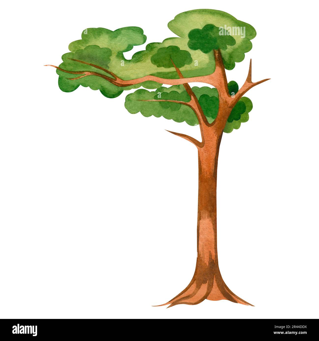 Illustrazione acquerello. Un albero verde con tronco marrone dipinto in acquerello su sfondo bianco. Adatto per la stampa su tessuto e carta, libro Foto Stock