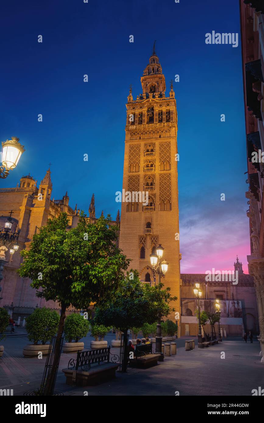 Cattedrale di Siviglia in Plaza Virgen de Los Reyes al tramonto - Siviglia, Andalusia, Spagna Foto Stock