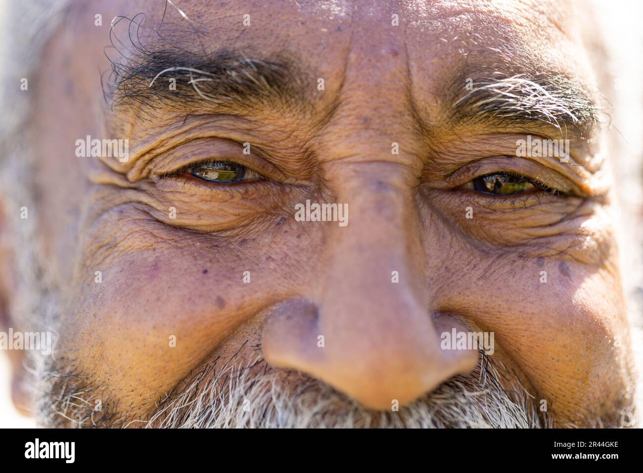 Ritratto primo piano di un felice uomo anziano biraciale guardando la macchina fotografica e sorridendo al sole Foto Stock