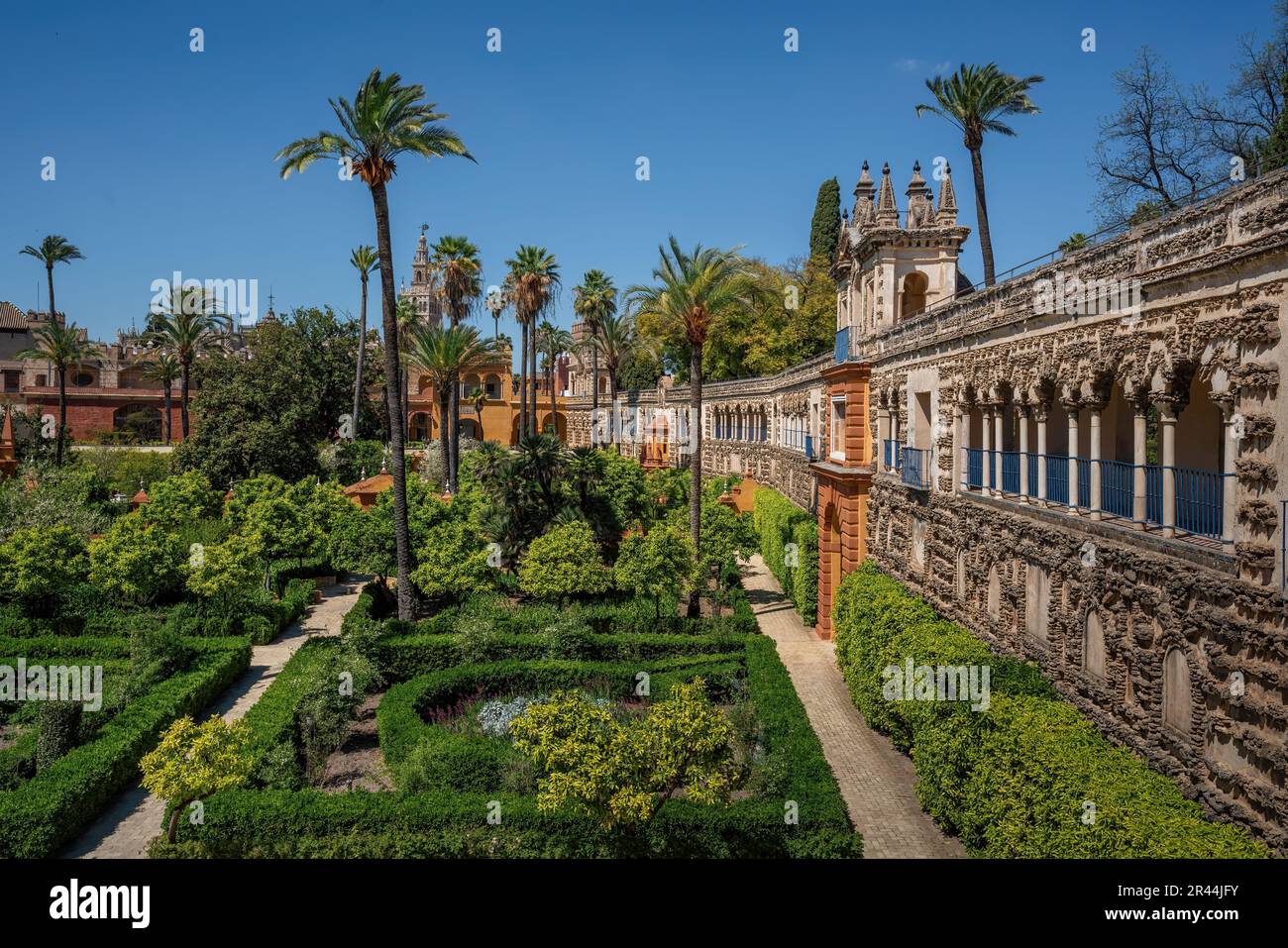 Giardino dell'Alcova (Jardin de la Alcoba), Giardino delle Signore (Jardin de las damas) e Galleria delle grottesche ad Alcazar - Siviglia, Spagna Foto Stock