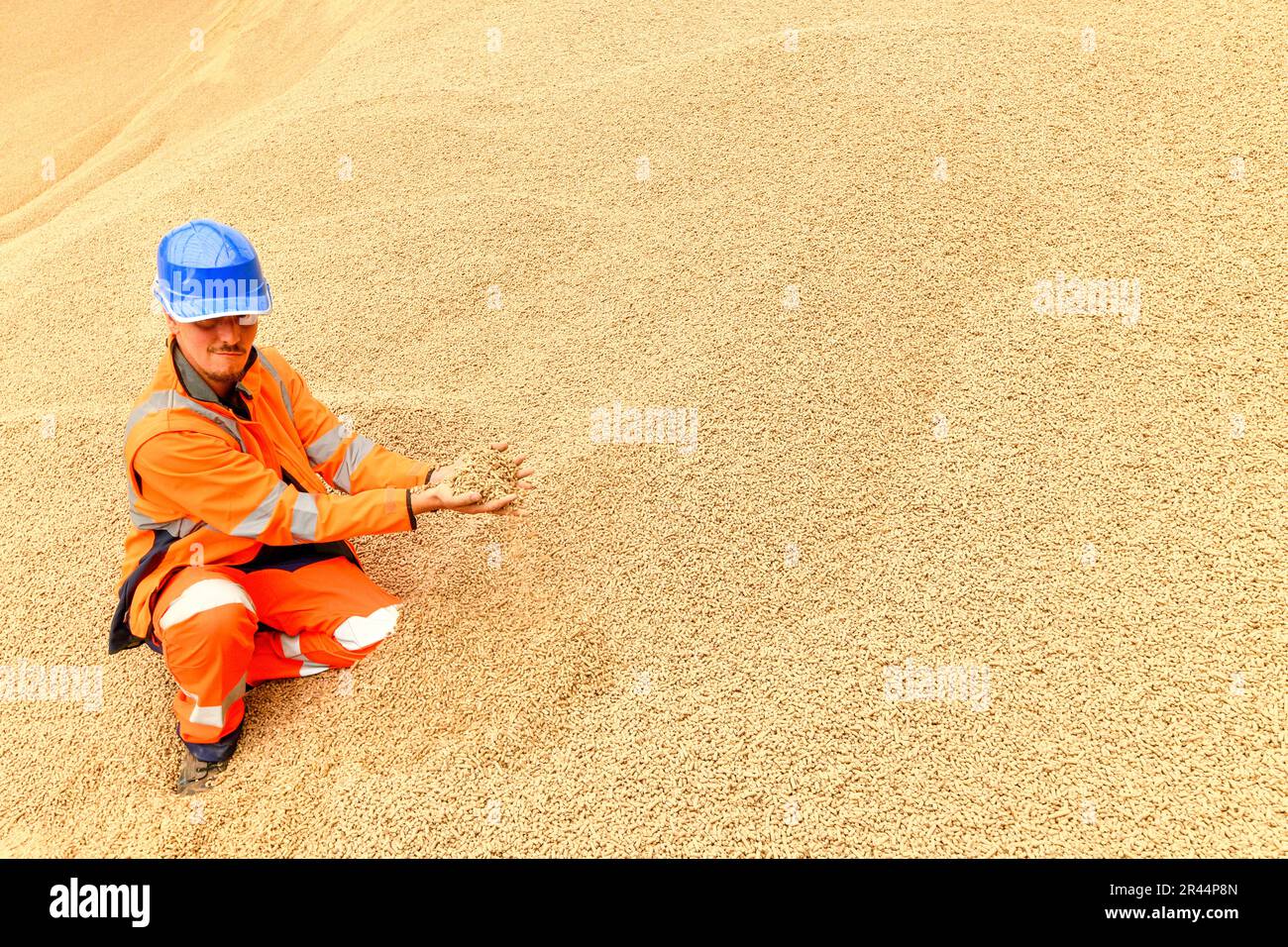 Grand-Couronne (Normandia, Francia settentrionale): Sito di TotalEnergies in cui le pellets di legno vengono messe in sacchi e caricate Foto Stock