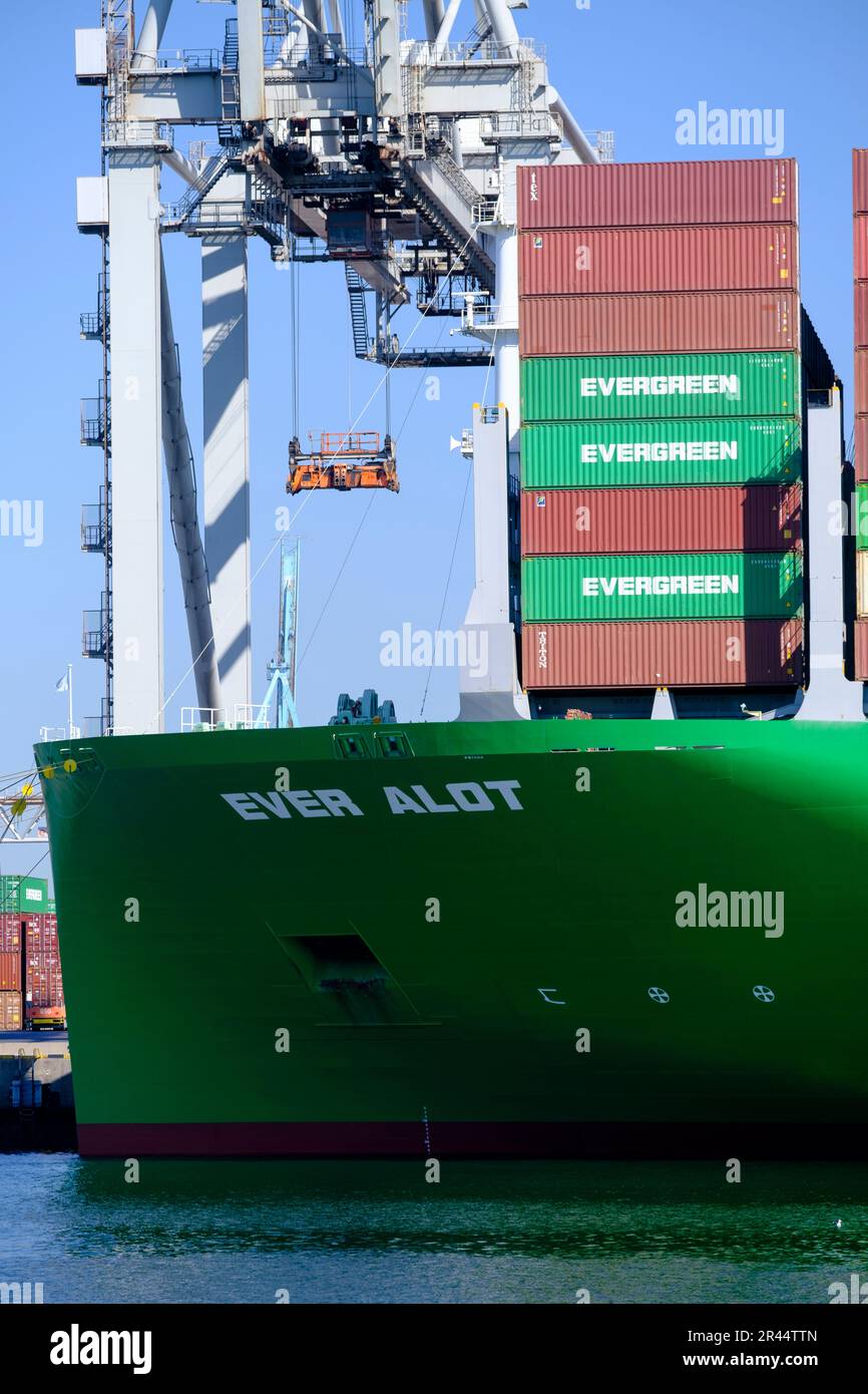 Paesi Bassi, Rotterdam: La nave portacontainer di Evergreen attraccata nel bacino di Amazonehaven Foto Stock