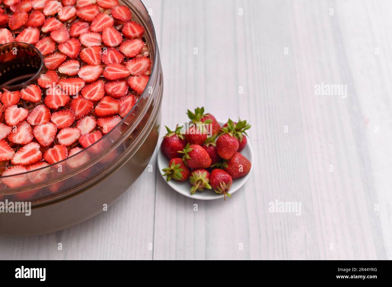 disidratatore per essiccare le bacche. asciugare le fragole a fette. Foto Stock