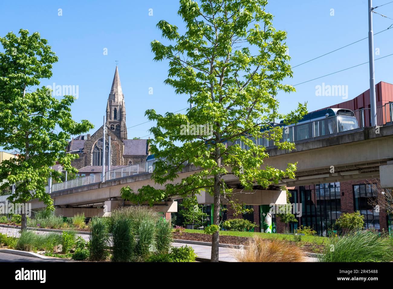 New Trees and Public Realm su Middle Hill e Sussex Street a Nottingham City, Nottinghamshire Inghilterra Regno Unito Foto Stock