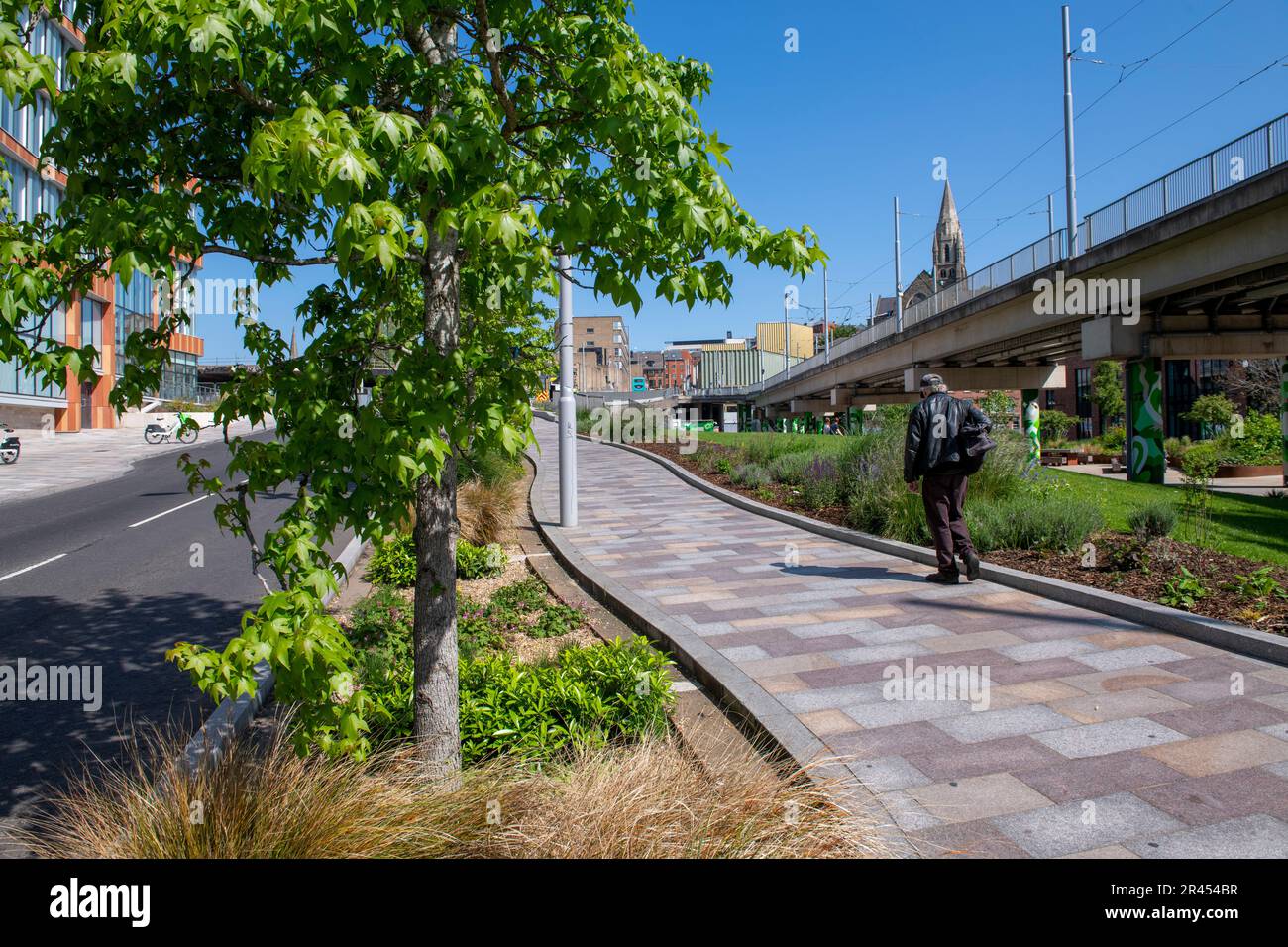 New Trees and Public Realm su Middle Hill e Sussex Street a Nottingham City, Nottinghamshire Inghilterra Regno Unito Foto Stock