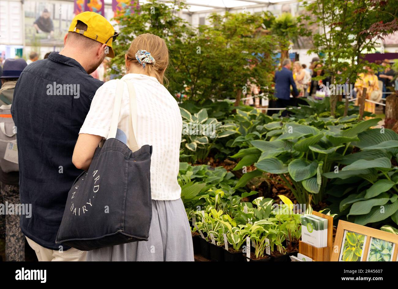 Vista posteriore di una giovane coppia di 30s anni che guarda le piante in una stalla all'interno del Great Pavilion, Chelsea Flower Show 2023, Chelsea London UK Foto Stock