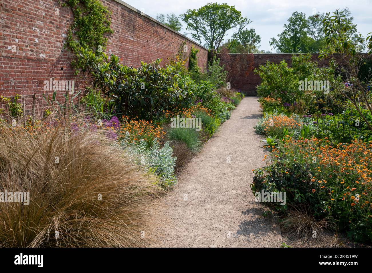 Il giardino Paradiso a RHS Bridgewater, Worsley Greater Manchester, Inghilterra. Foto Stock