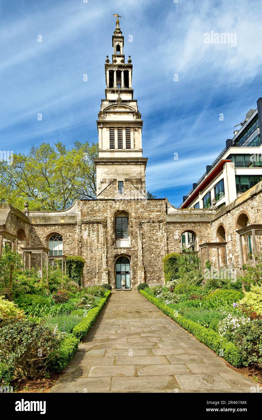 Londra King Edward Street Christchurch Greyfriars Church Garden la torre e i giardini in primavera Foto Stock