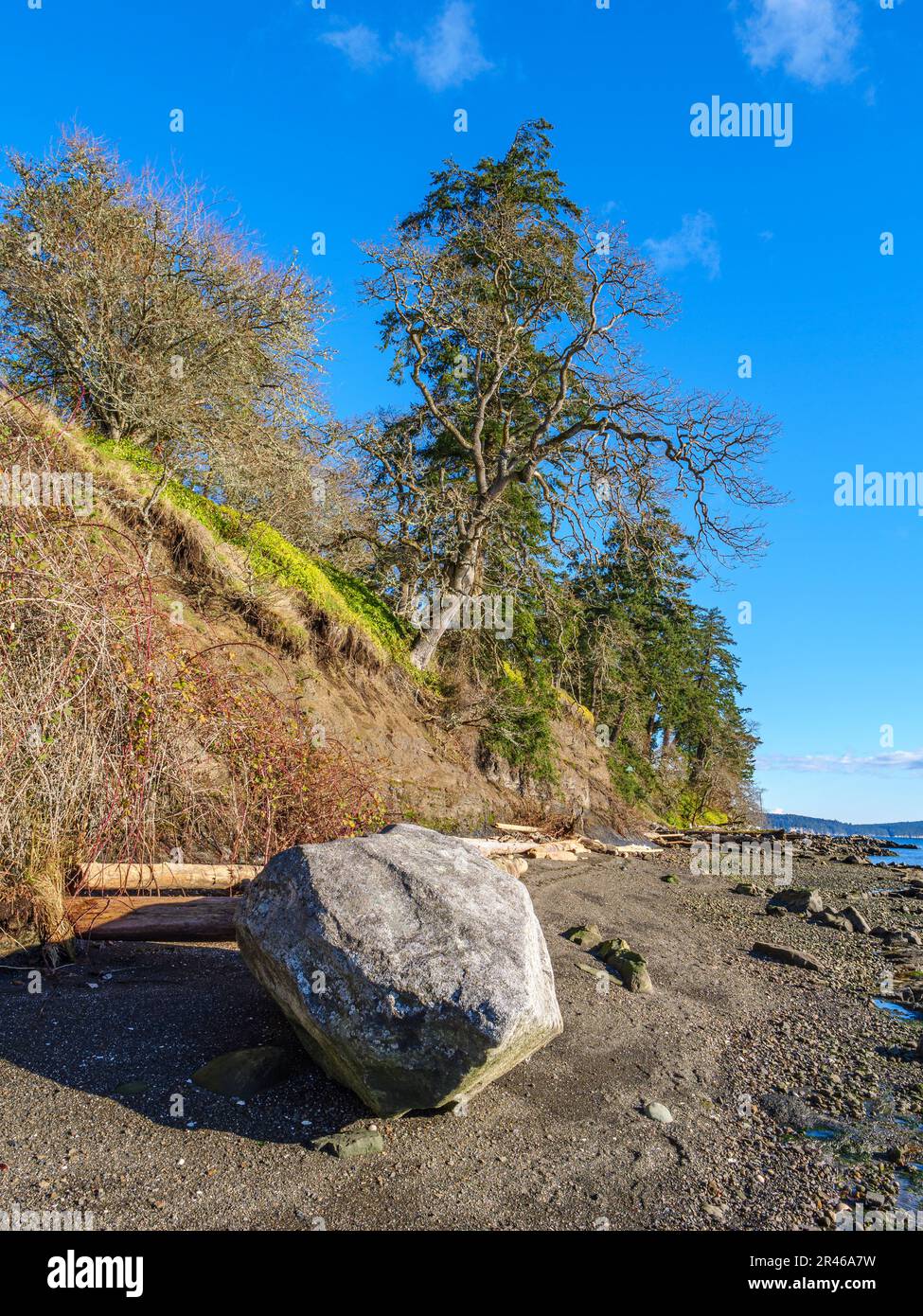 Un grande boulderat al limitare di una spiaggia sull'Isola Gabriola Foto Stock