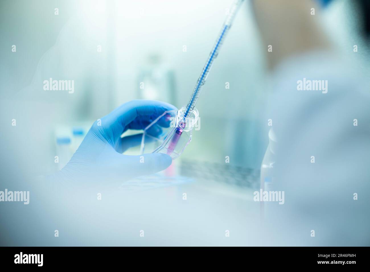 piastra multipozzetto e armadio di sicurezza per pipette per laboratorio fotografico e colture cellulari di medicina biologica e medica Foto Stock