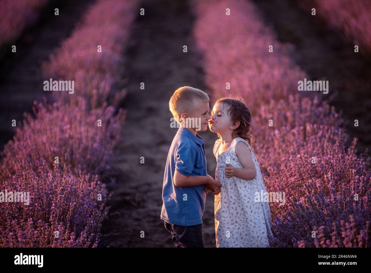 Primo piano ritratto di bambina che bacia la ragazza sulla guancia nelle file di campo di lavanda viola. Coppia carina amorevole dei bambini hanno divertimento nella natura. FAM Foto Stock