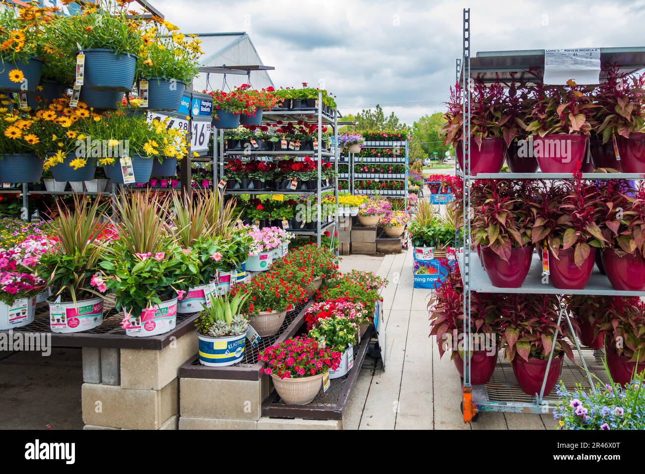 File e cataste di fiori e piante frondose in contenitori in vendita nel centro giardino di Lowe durante la primavera. Wichita, Kansas, Stati Uniti. Foto Stock