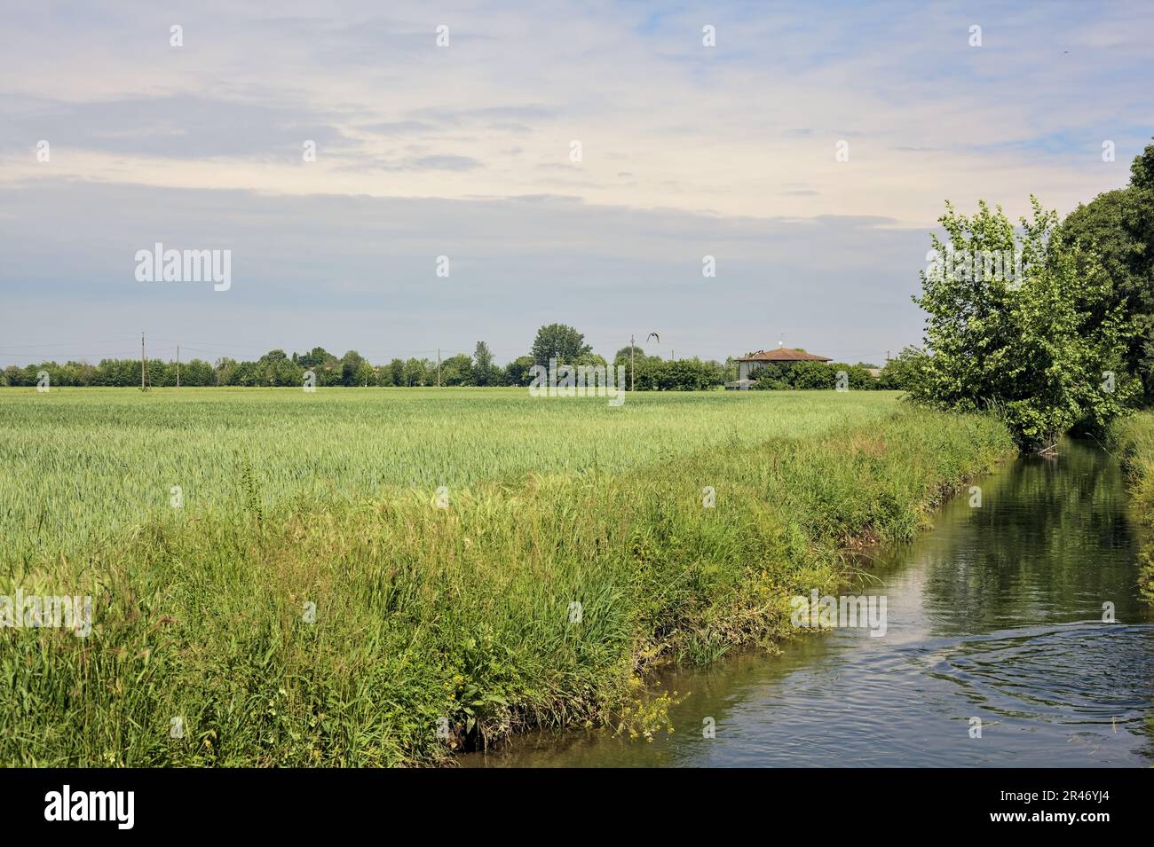 Sentiero sterrato vicino ad un ruscello di acqua e campi in una giornata di sole nella campagna italiana Foto Stock