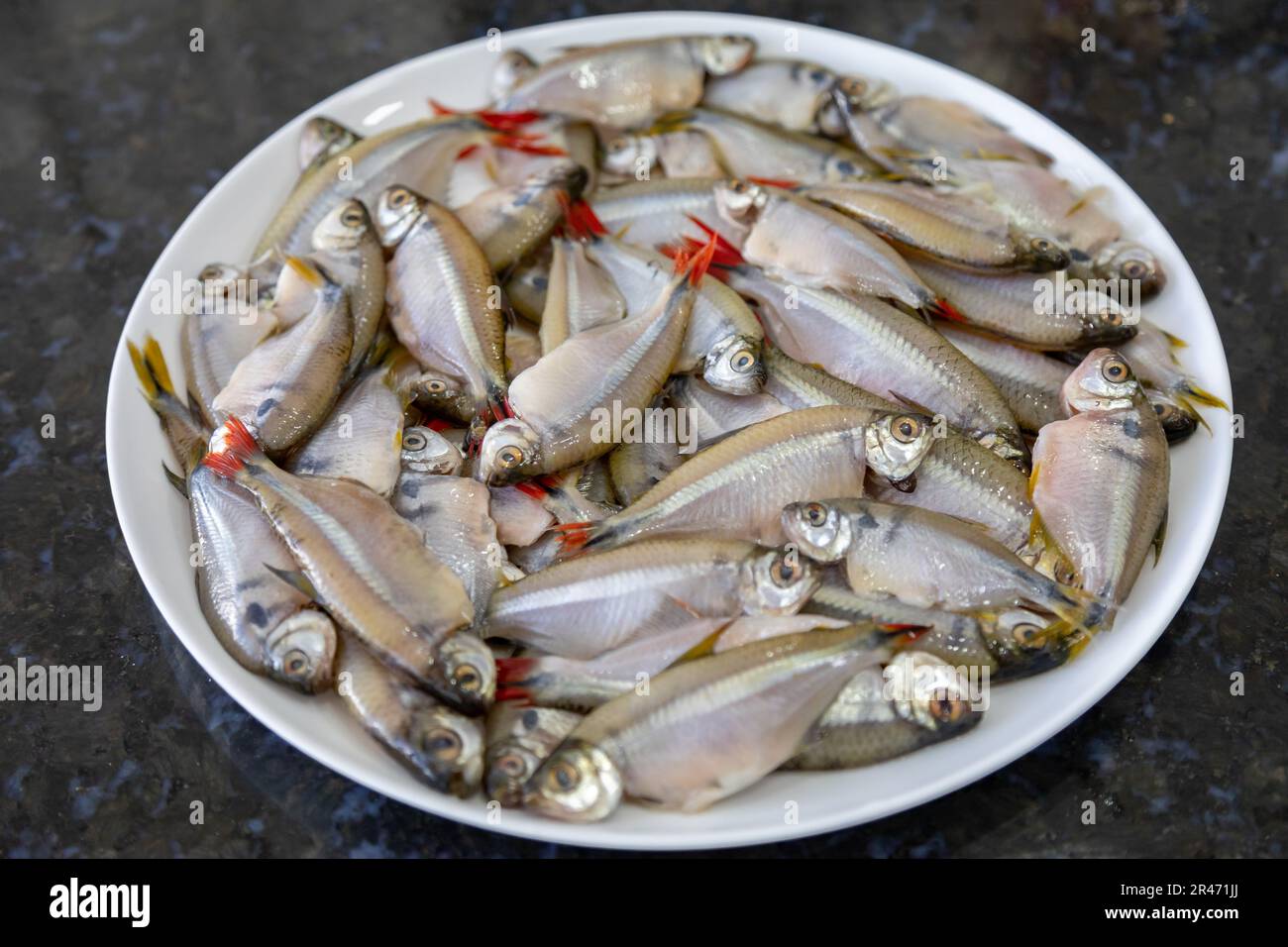 Fritto Lambari do Rabo Vermelho (Astyanax bimaculatus) pesce d'acqua dolce tipico brasiliano Foto Stock